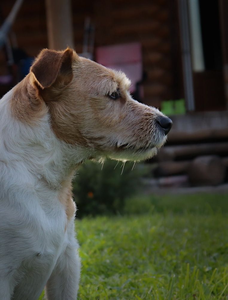 Photograph by Евгений Михеев