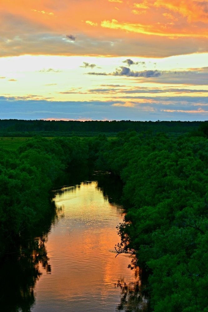 Photograph by Надежда Сабаева