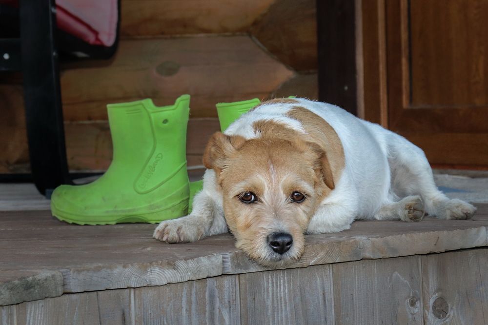 Photograph by Евгений Михеев