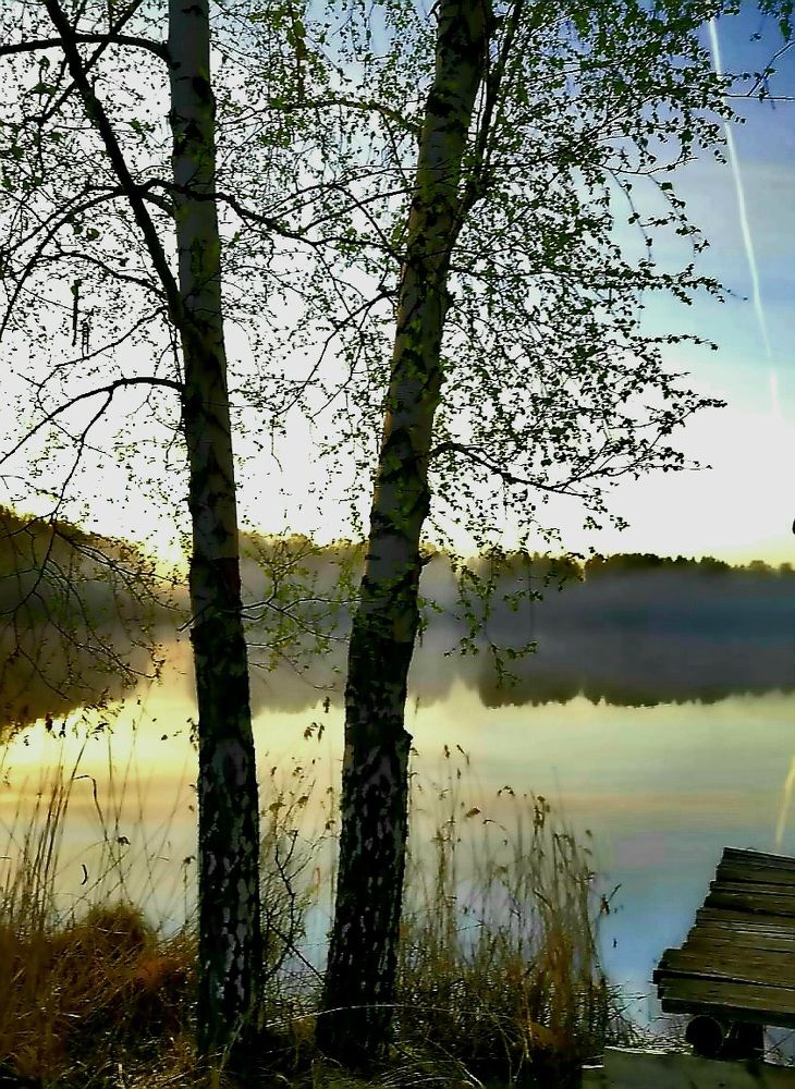 Photograph by Надежда Сабаева