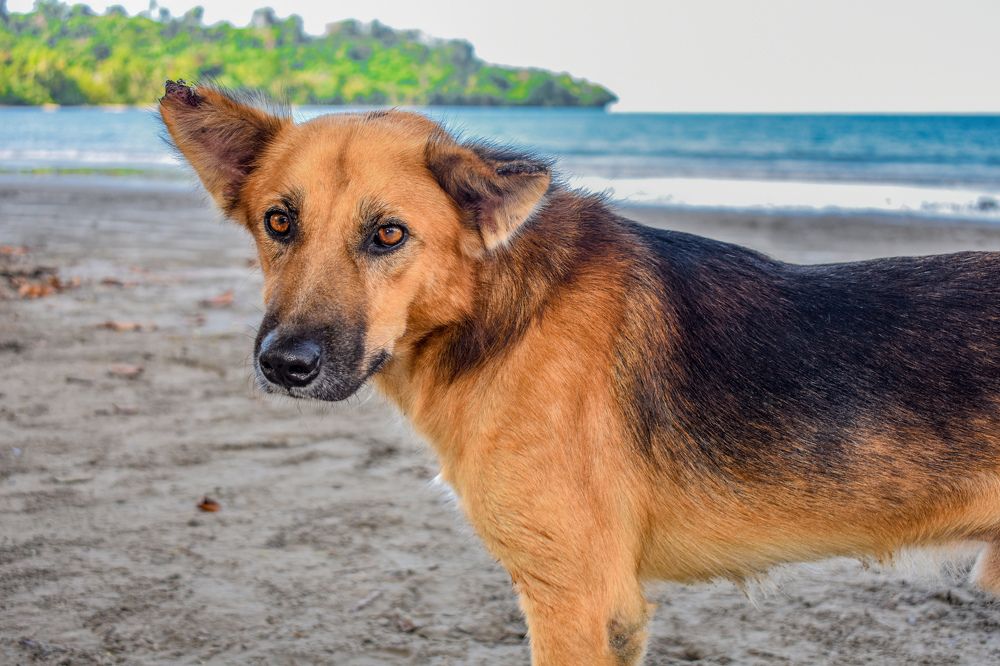 Photograph by Yannah Tekwie