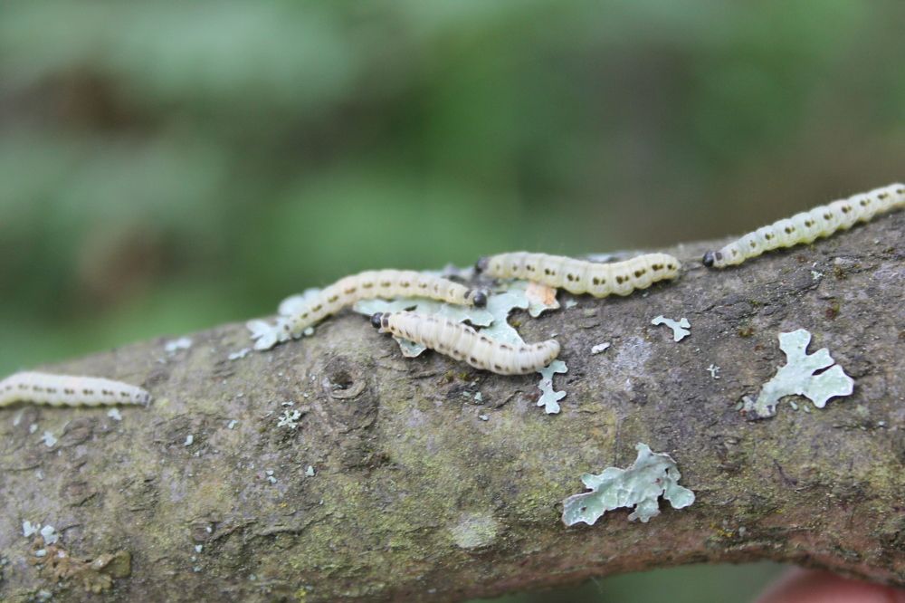 Photograph by Денис Птюшкин