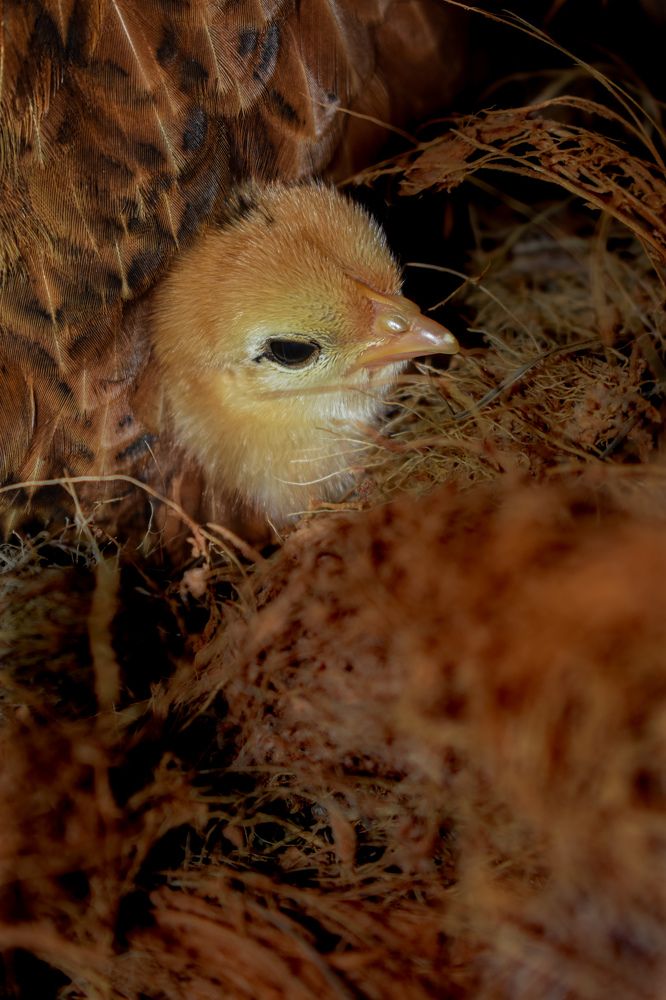 Photograph by Yannah Tekwie