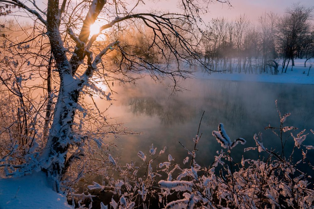 Photograph by Константин Шишкалов