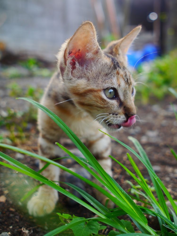 Photograph by Arnel Garcia