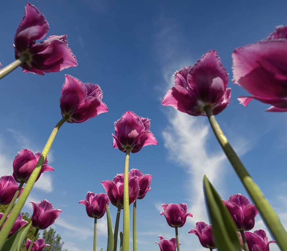 Photograph by Дмитрий Емельянов