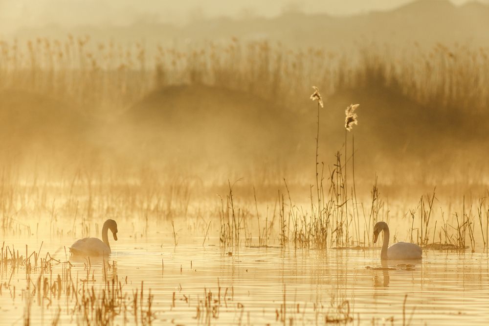 Photograph by Александр Калин