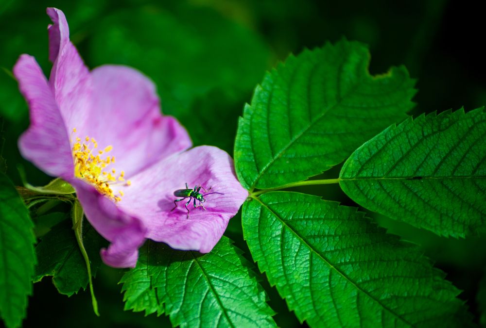 Photograph by Виталий Слёзка