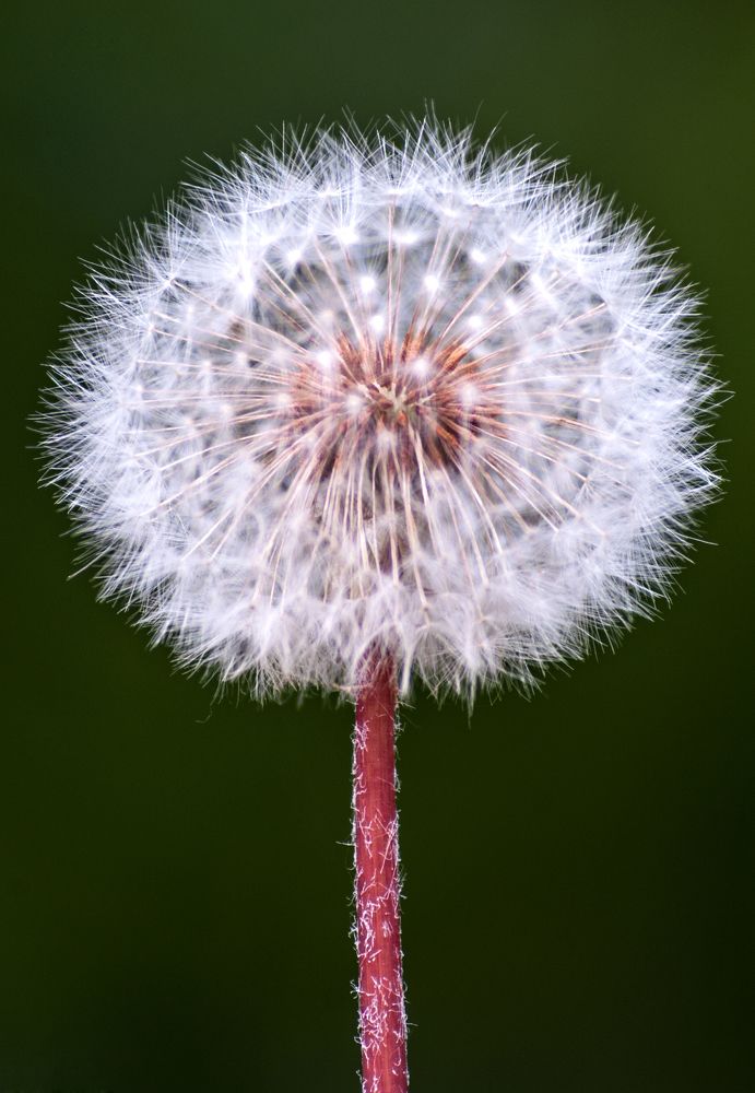 Photograph by Виталий Слёзка