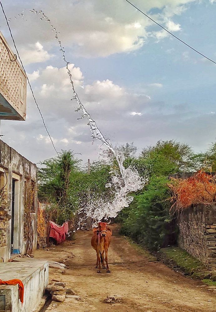 Photograph by Deepak Meena