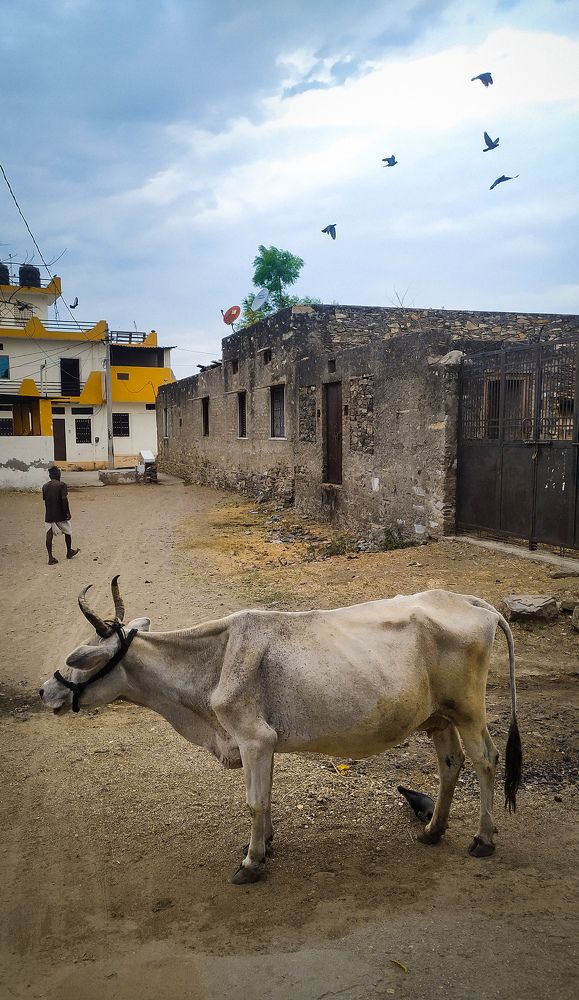 Photograph by Deepak Meena