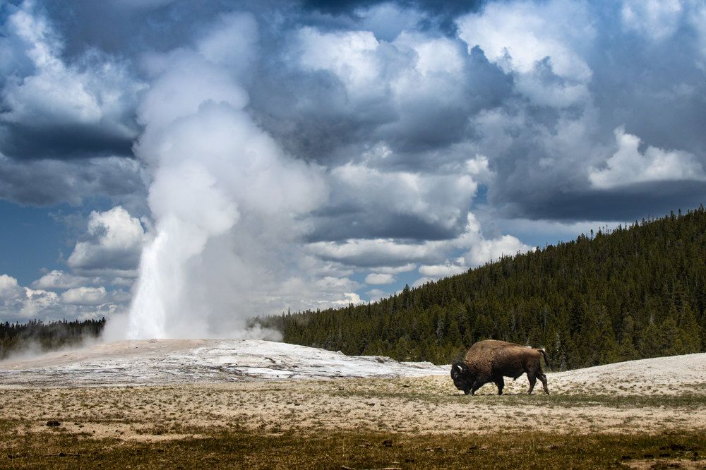 Photograph by Olga Serebryannaya