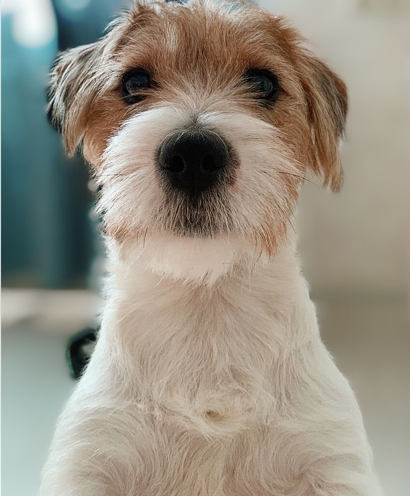 Photograph by Ольга Ходурская