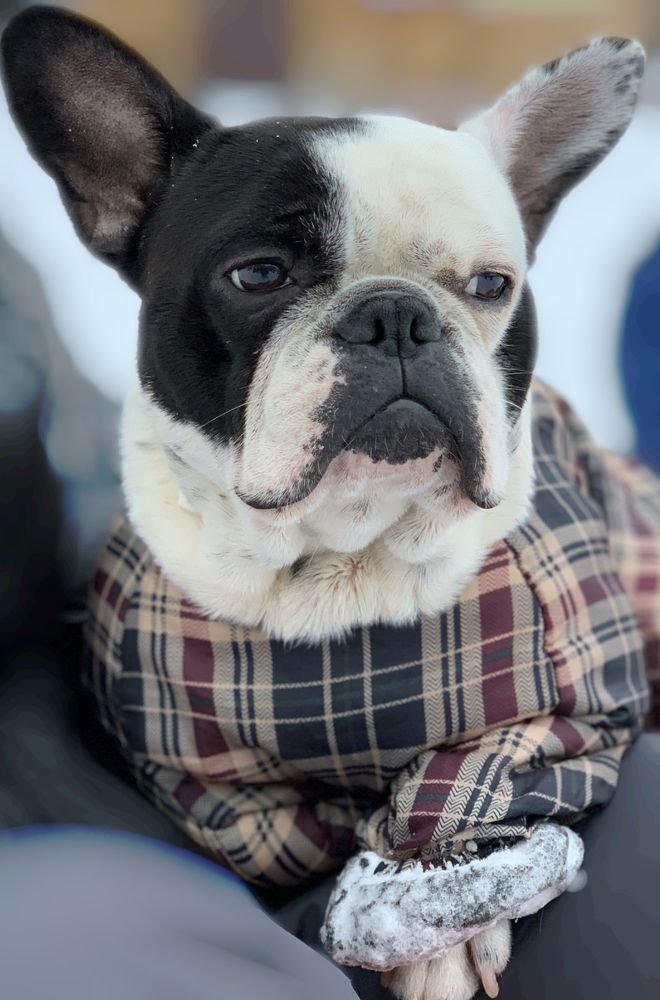 Photograph by Ольга Ходурская