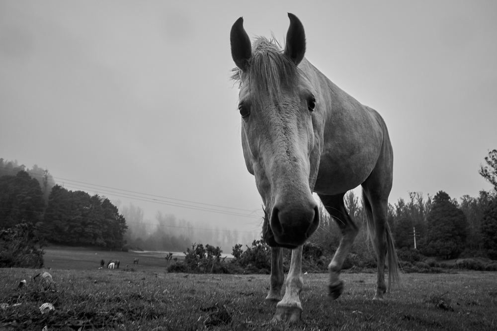 Photograph by Vigneshwaran G