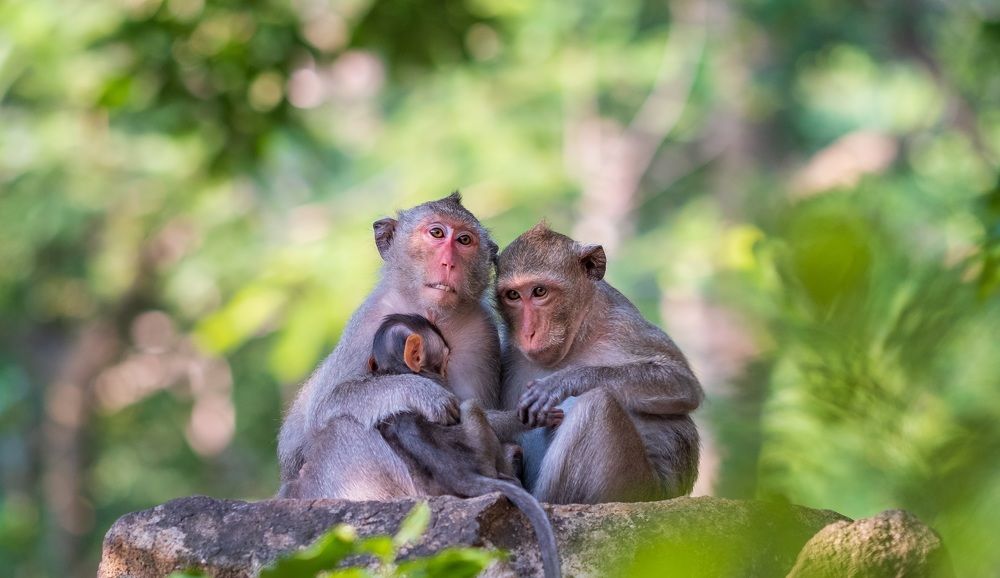 Photograph by Dao Duc