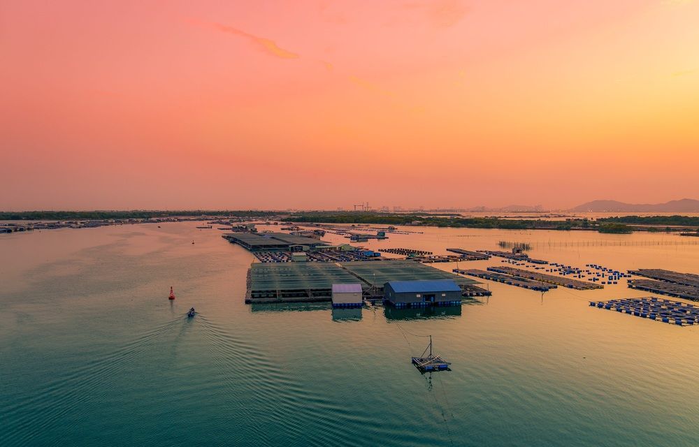 Photograph by Dao Duc