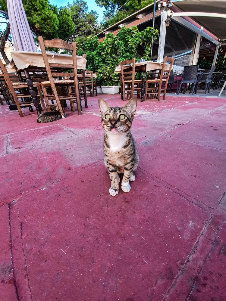 Photograph by Daria Priimak