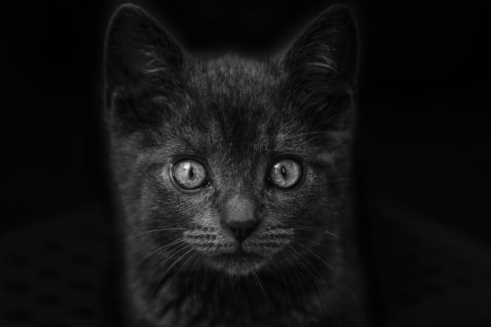 Photograph by Gabriela Ottova