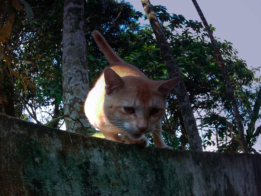 Photograph by Subrata Roy