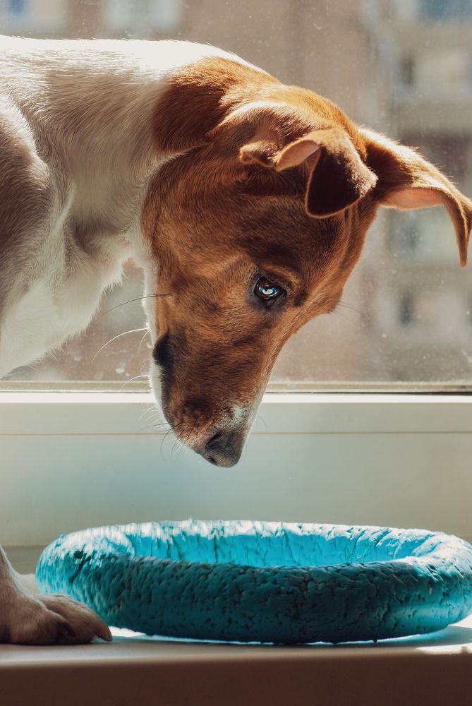 Photograph by Валерия Гарбуз