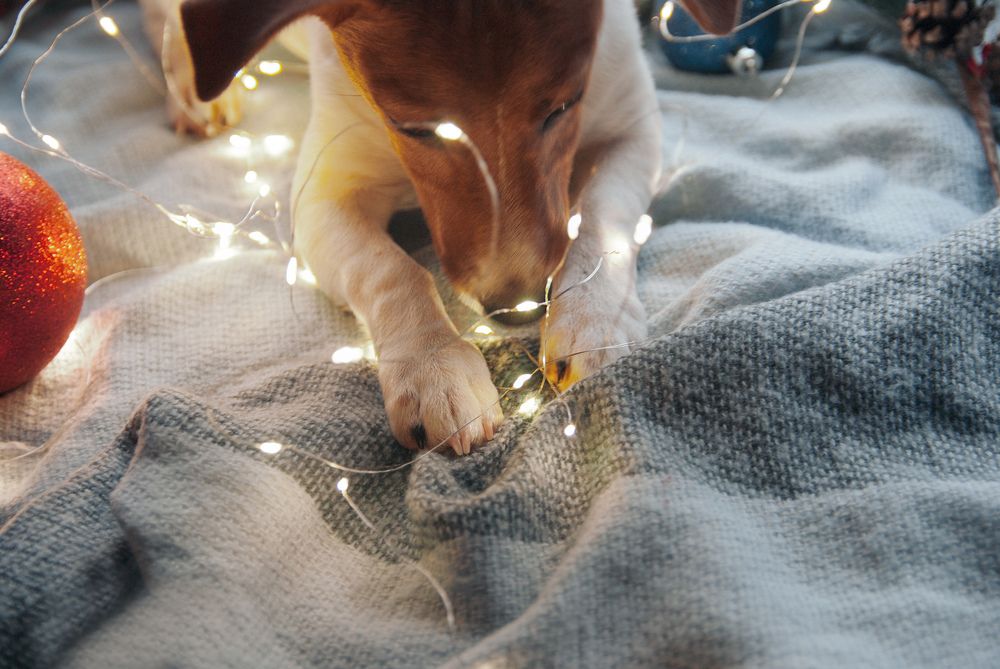 Photograph by Валерия Гарбуз