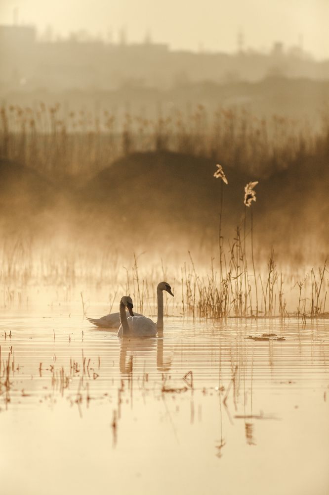 Photograph by Александр Калин