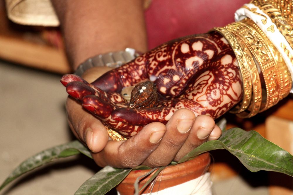 Photograph by Subrata Roy