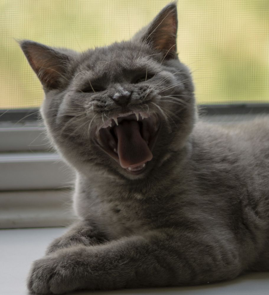 Photograph by Виктория Гунько