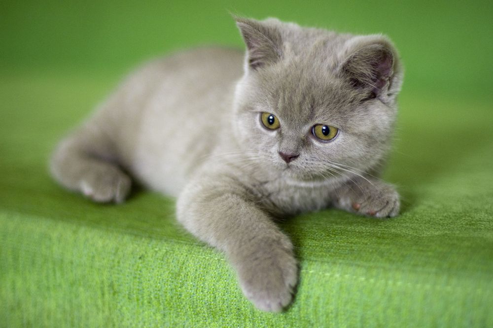 Photograph by Виктория Гунько