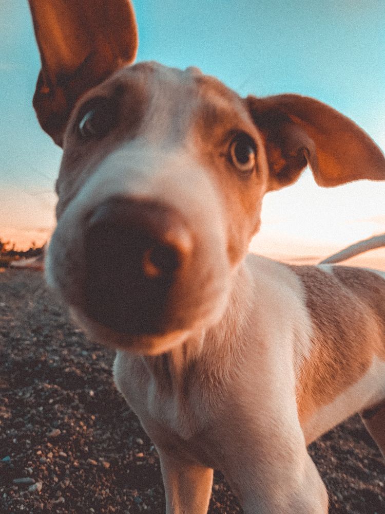 Photograph by Fruelda Bryan Aquino