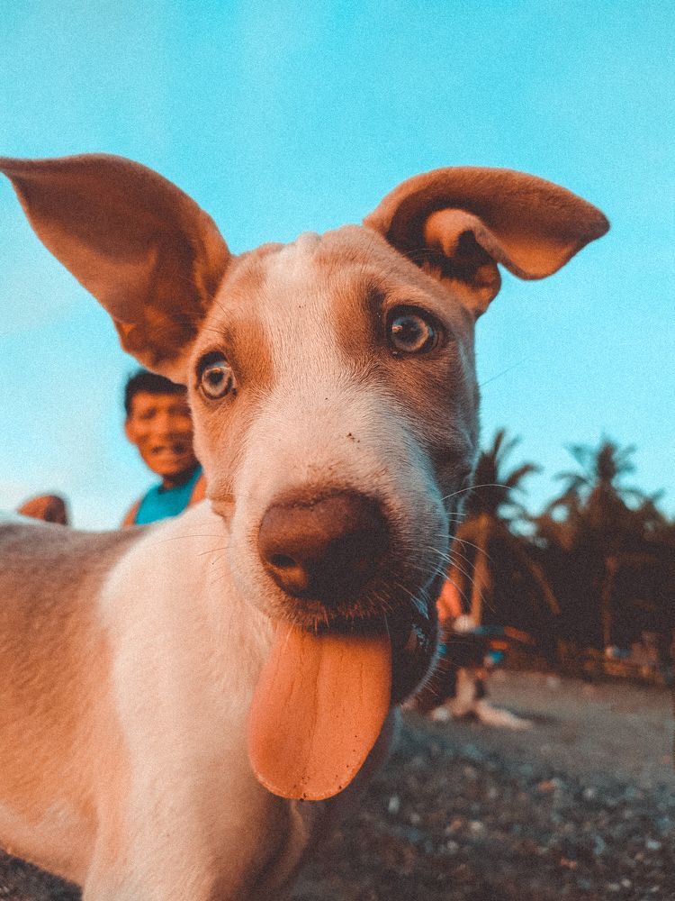 Photograph by Fruelda Bryan Aquino