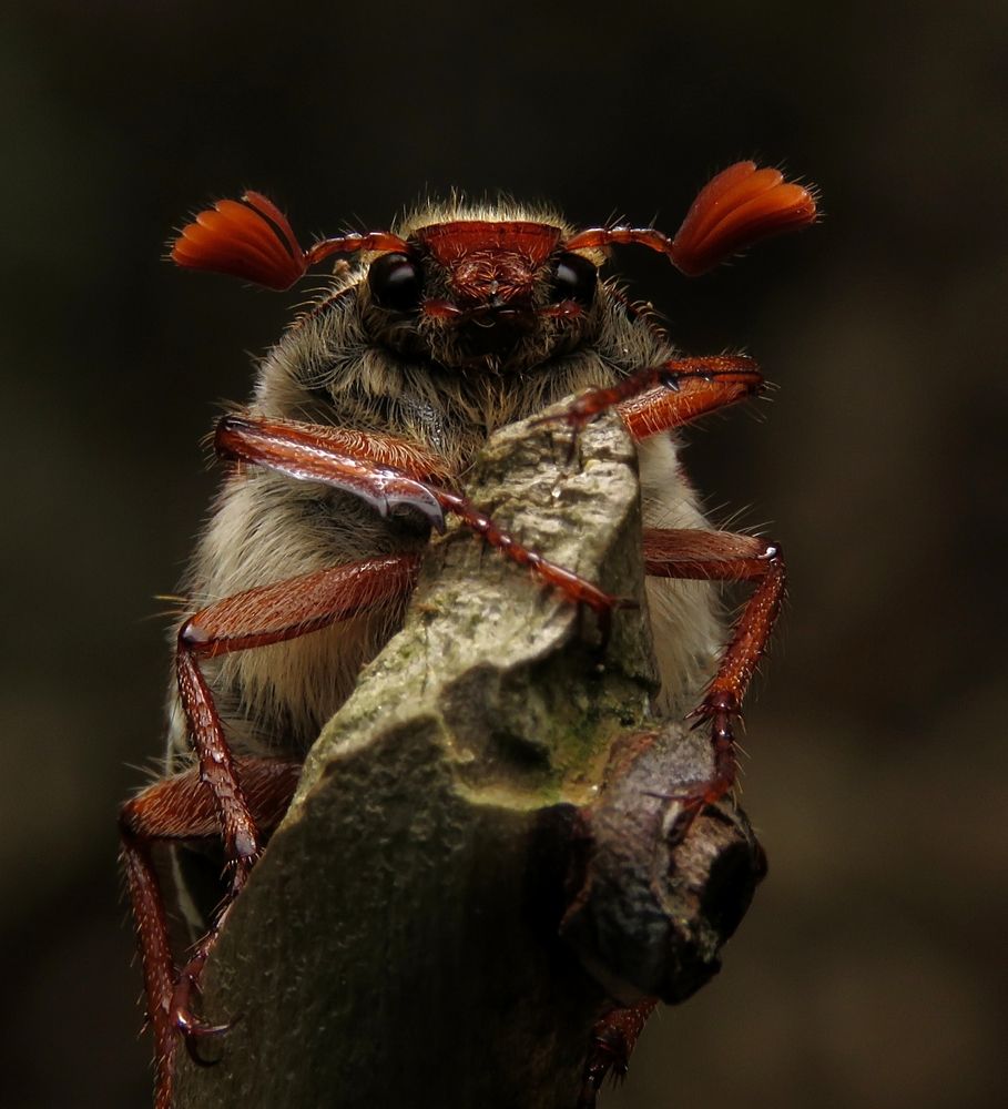 Photograph by Wendy Van Essen