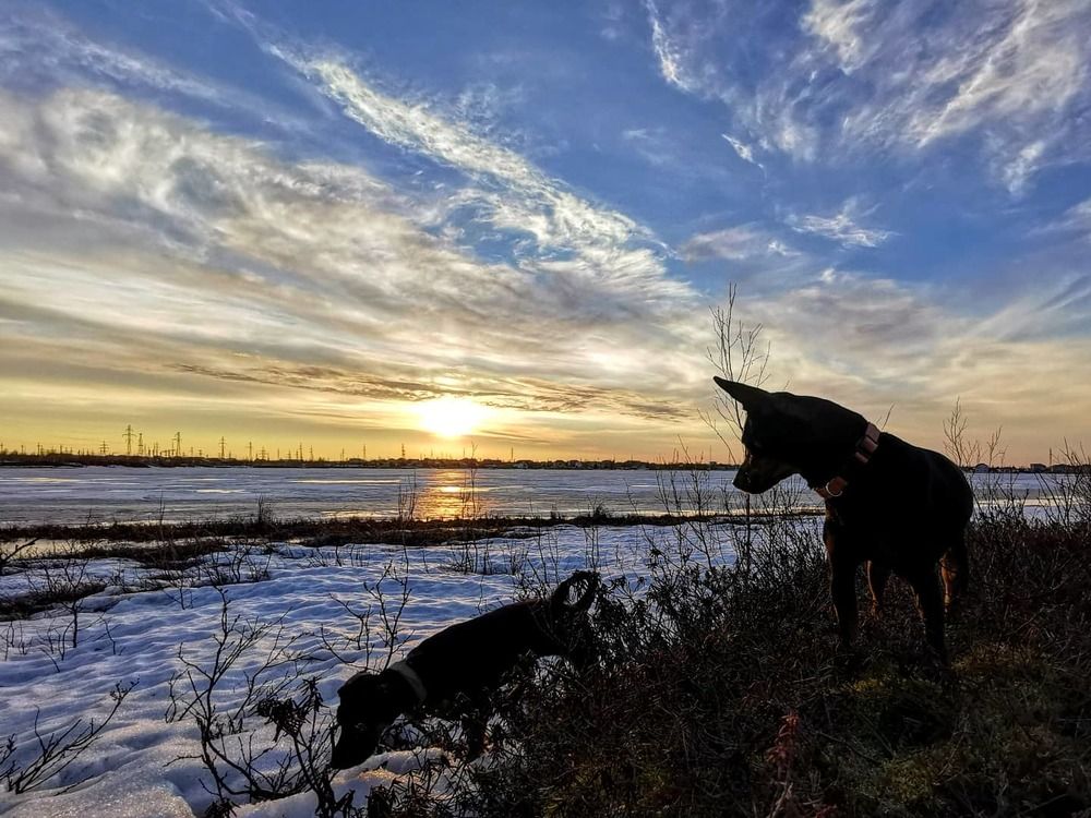 Photograph by Юлия Арестова