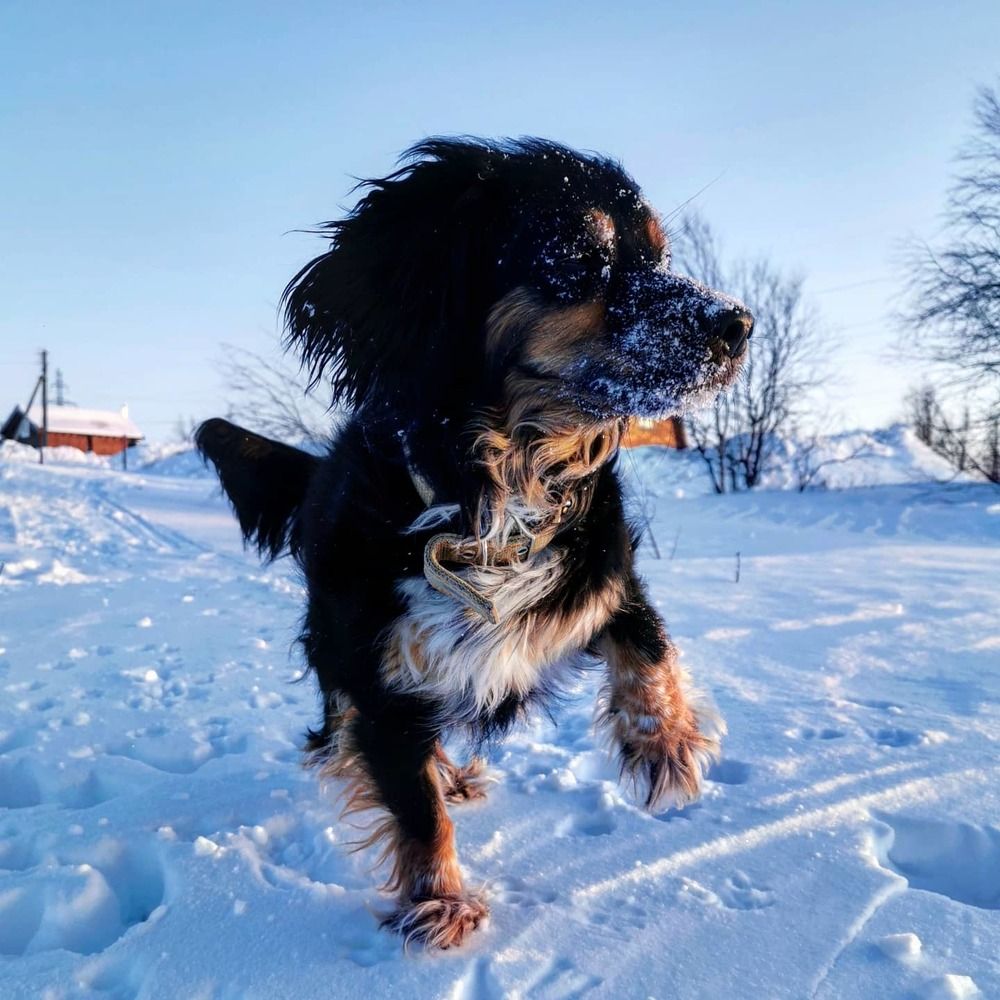 Photograph by Юлия Арестова