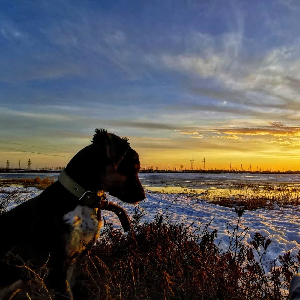 Photograph by Юлия Арестова