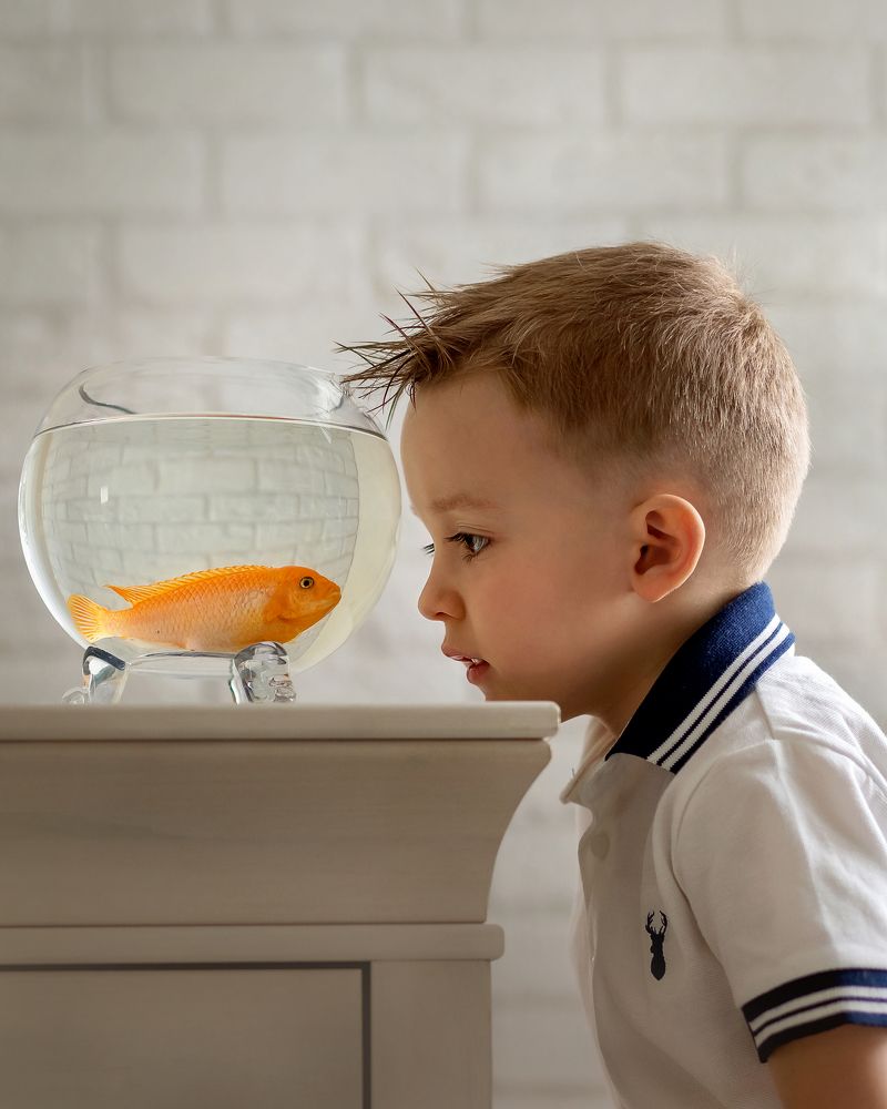 Фотография автора Катерина Рудюк