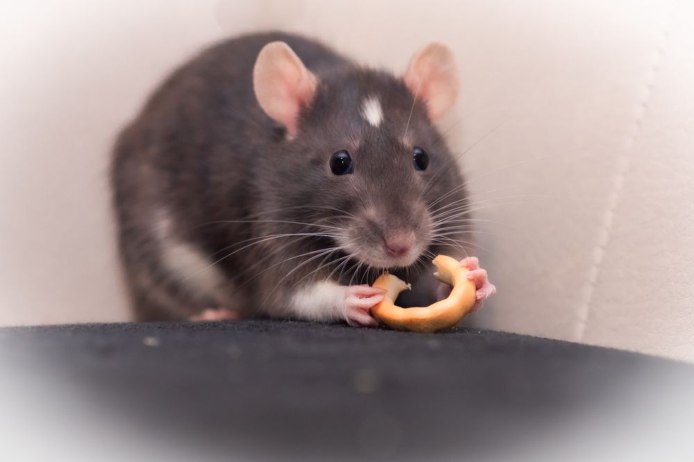 Photograph by Людмила Казак