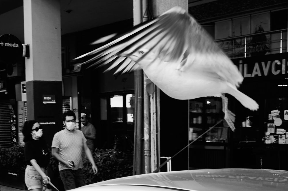 Photograph by Emir Ali Kaya