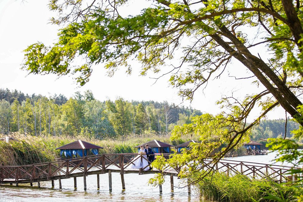 Photograph by Алёна Суслова