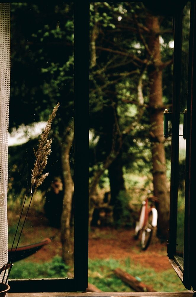 Photograph by Maxim Pogadaev