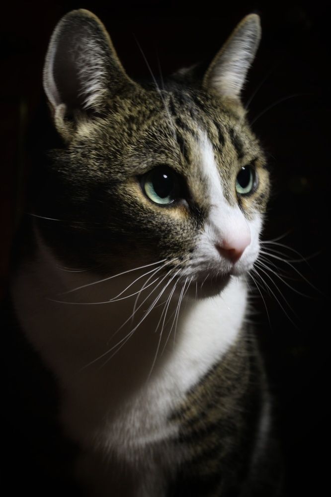 Photograph by Natalya Popova