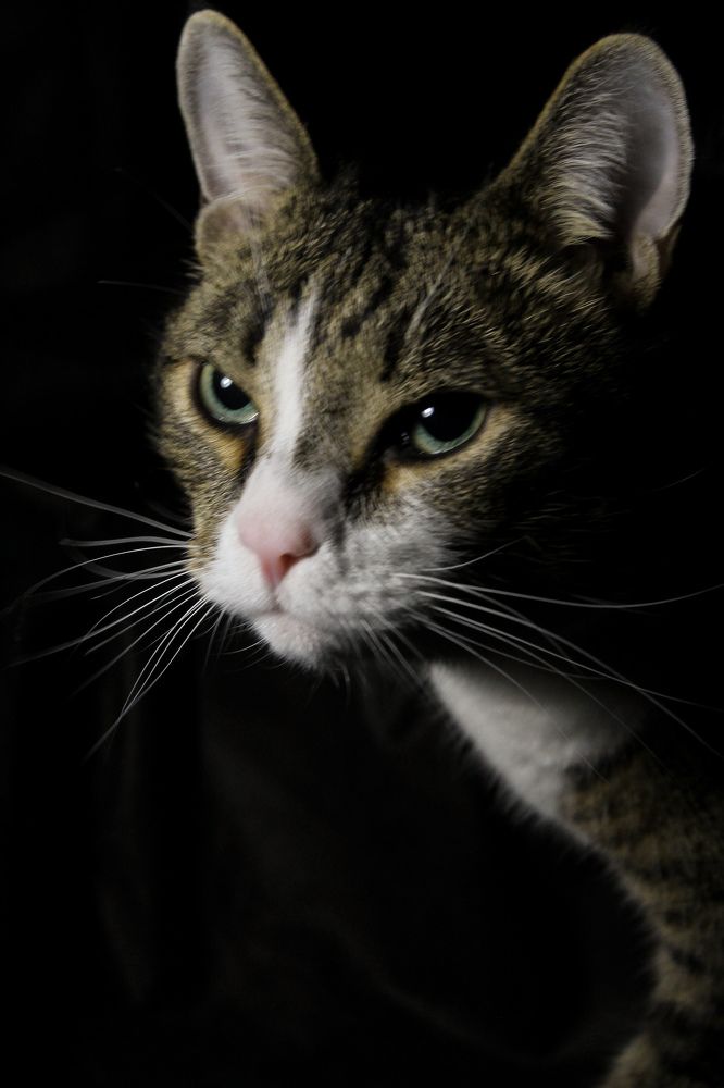 Photograph by Natalya Popova