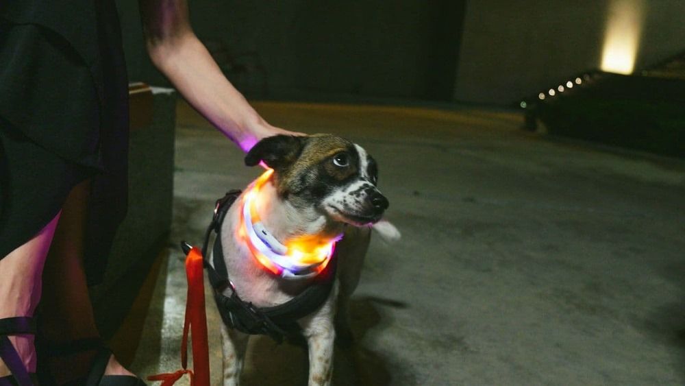 Photograph by Ayaz Hajiev