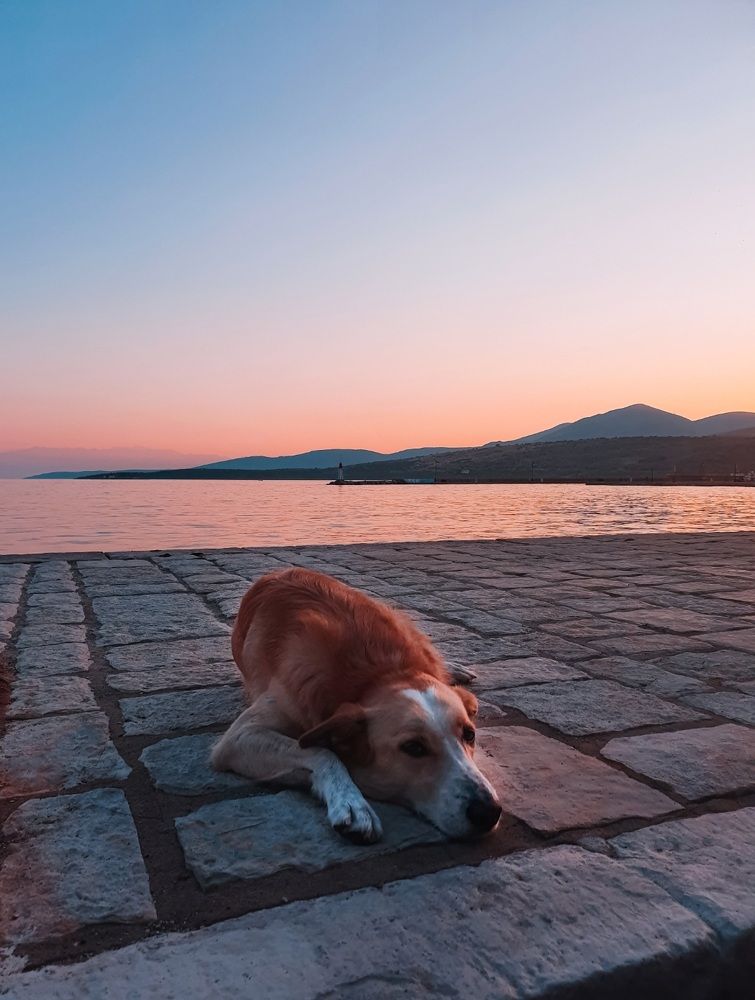 Photograph by Daria Priimak