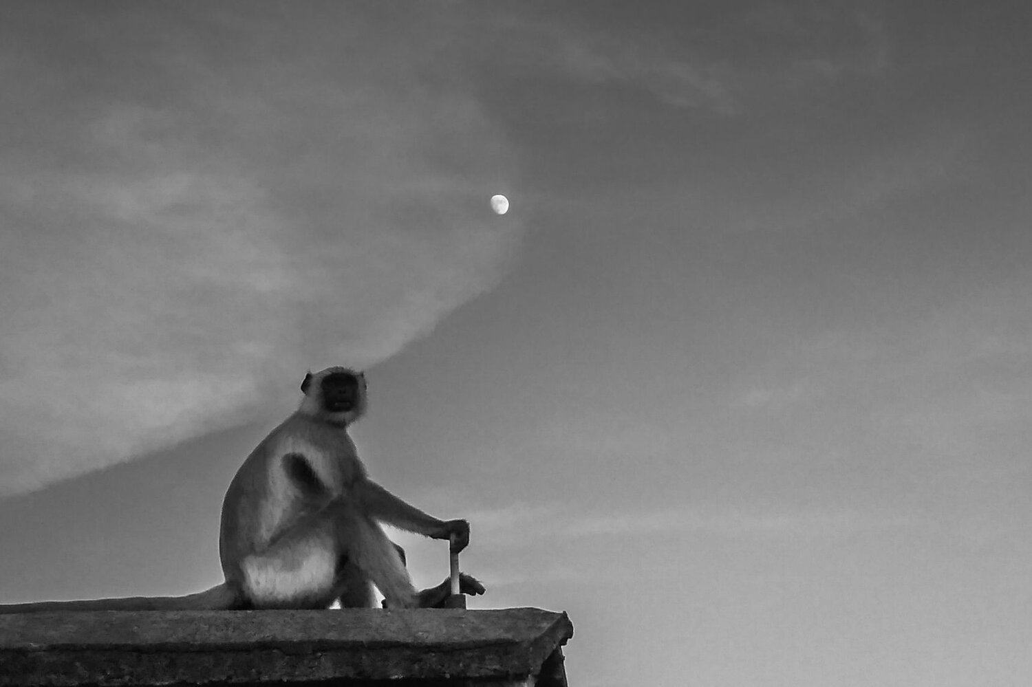 A Waiting