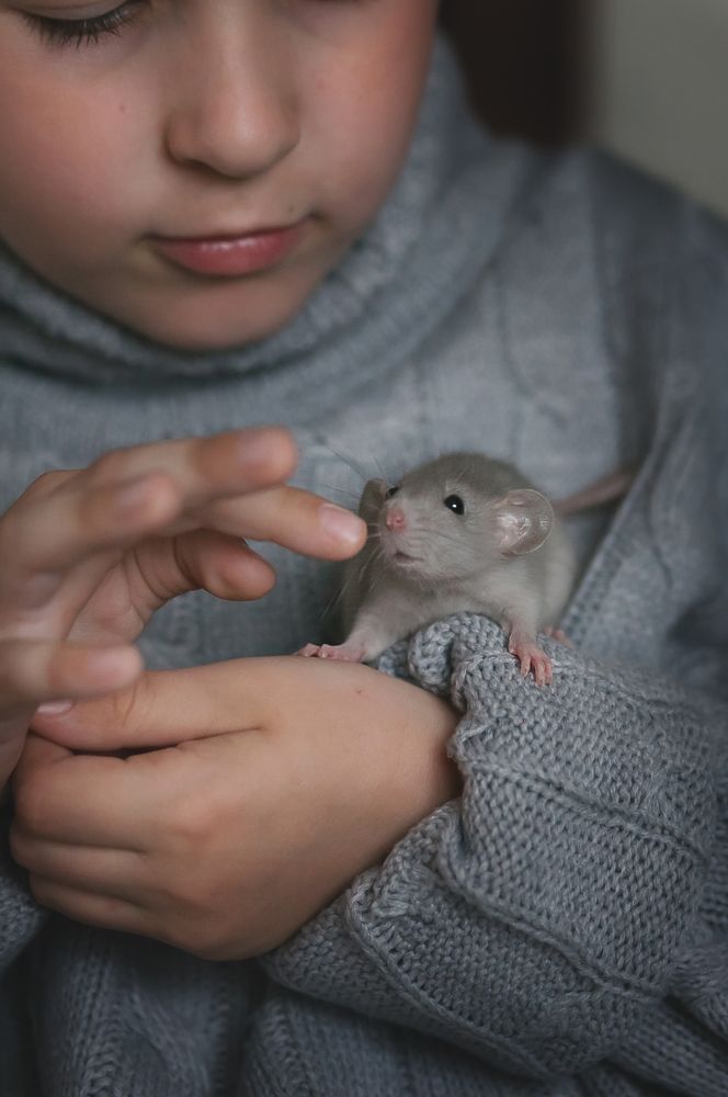 Photograph by Екатерина Селезнева