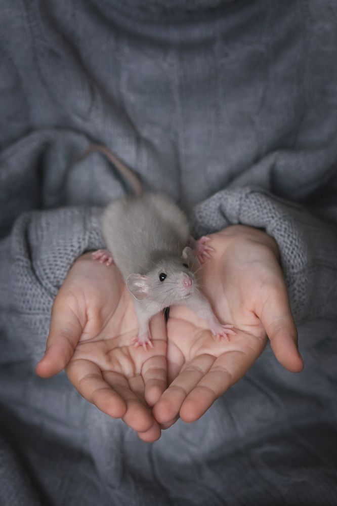 Photograph by Екатерина Селезнева