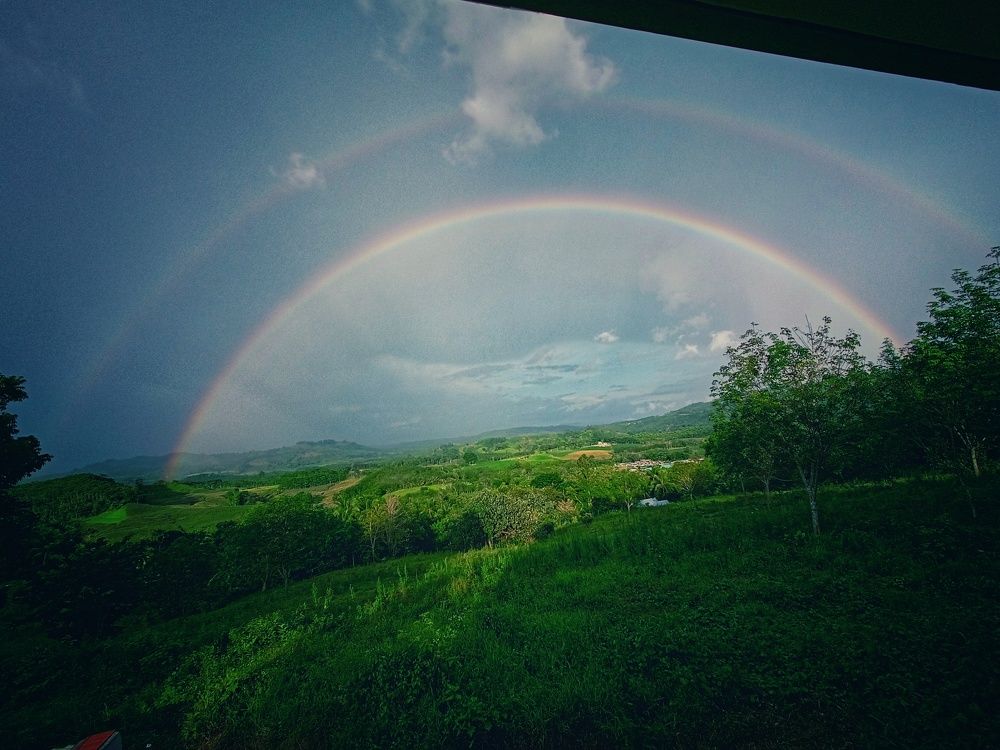 Rainbow