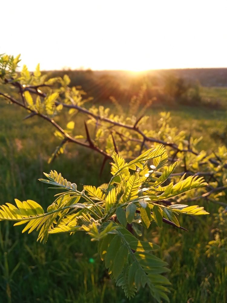 Photograph by Тамара Шевченко